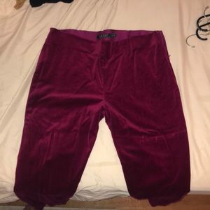 Women’s pants